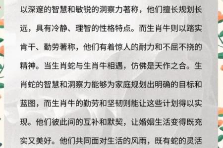 蛇马搭配的天作之合：探索生肖间的神秘联系