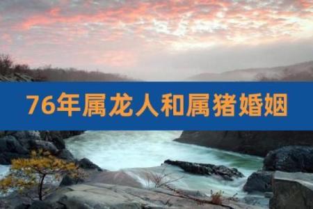 男属猪女属龙的爱情与相处之道