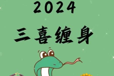 本命年蛇男如何走向更加成功的未来
