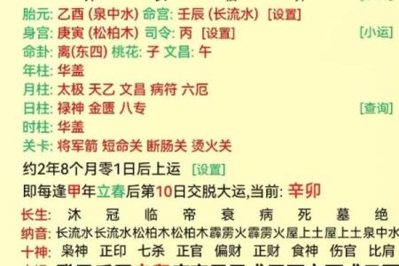 己木命的五行属性与命理解析