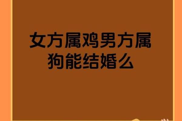 猪与鸡的婚姻：不可能的结合还是潜在的和谐？