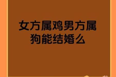 猪与鸡的婚姻：不可能的结合还是潜在的和谐？
