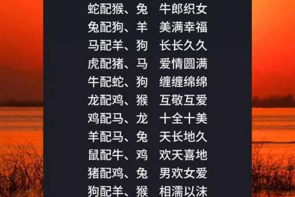 马与蛇的缘分如何揭秘 生肖婚配是否和谐