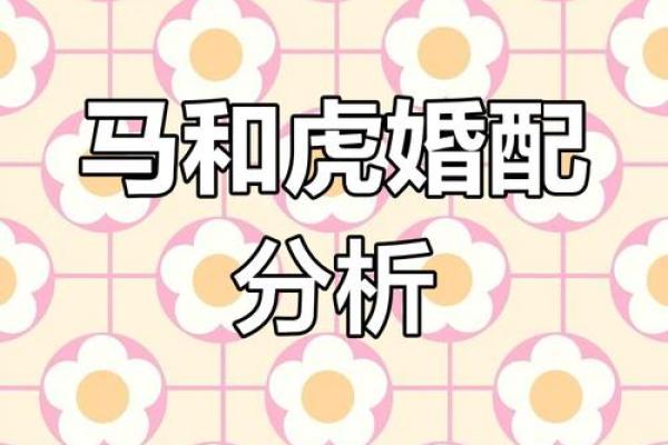 马与蛇的缘分如何揭秘 生肖婚配是否和谐