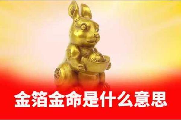 金脖金命的特征与命理解析