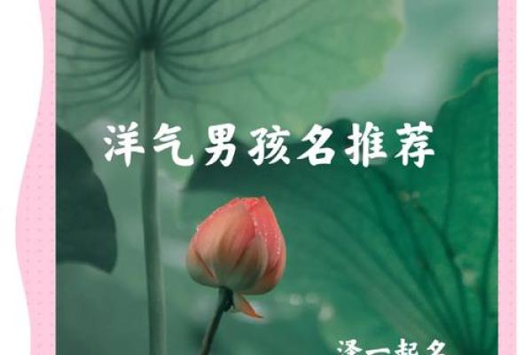 为男孩挑选帅气名字，赋予未来无限可能