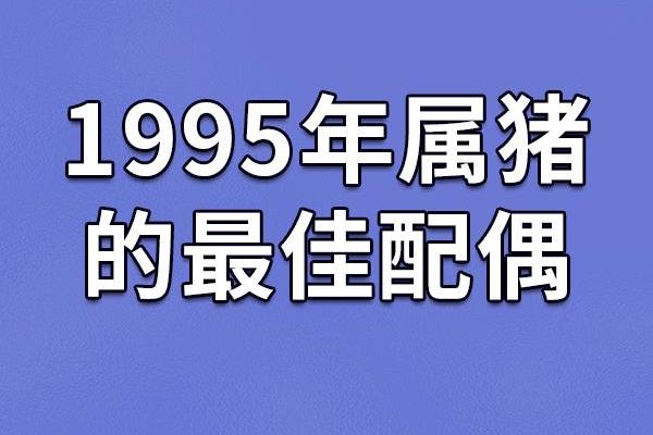 男属猪女属兔是否天作之合解析