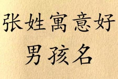 张姓男孩名字推荐与起名技巧