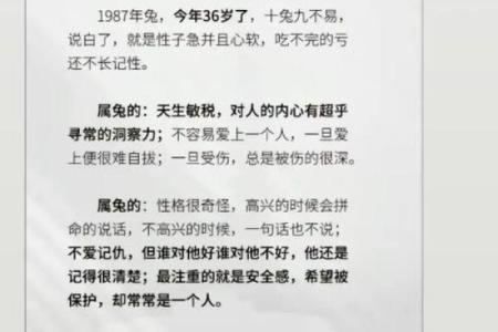 本命年兔男与伴侣的相处之道