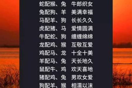 马与蛇的缘分如何揭秘 生肖婚配是否和谐