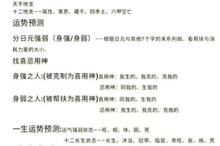 如何通过儿女传奇解读生辰八字，预测未来命运走向