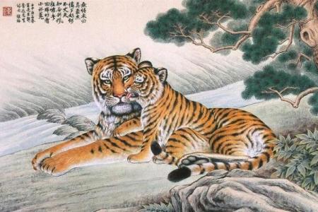 从性格看男猪女虎婚姻的匹配度