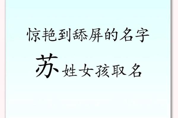 苏姓男孩如何起个有文化底蕴的名字