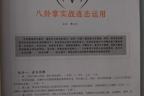 解读文命与武命的深层含义
