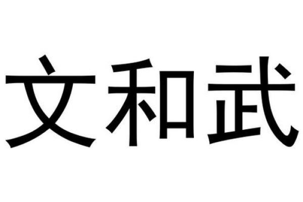 解读文命与武命的深层含义