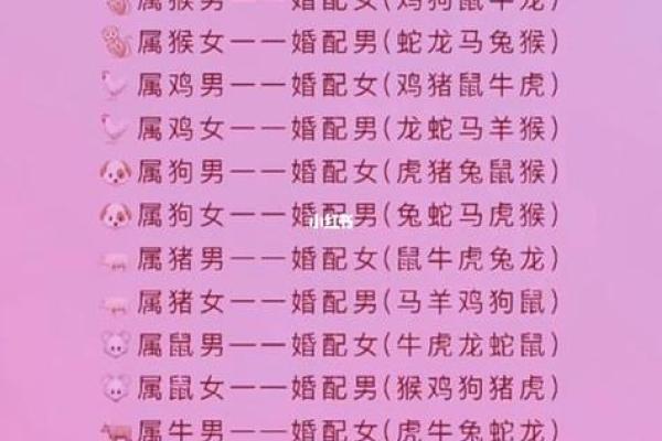 十二属相配对禁忌：哪些组合需谨慎