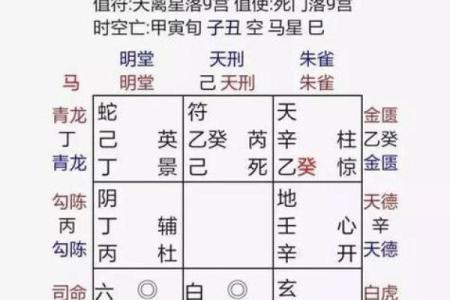揭示孤女命格背后的命理玄机