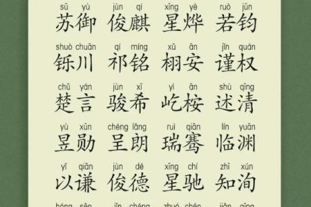 苏姓男孩如何起个有文化底蕴的名字