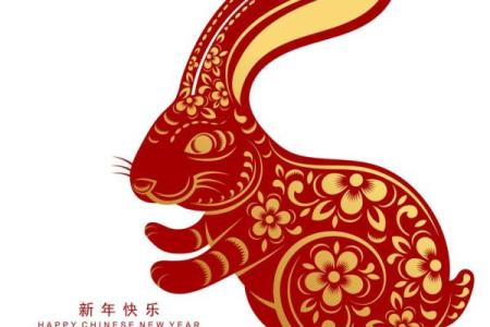 兔男本命年如何突破个人障碍