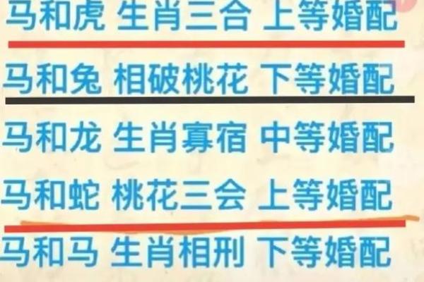 兔女与马男的性格差异与互补