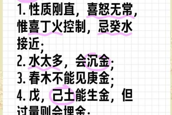 金箔金命的定义与特点解析
