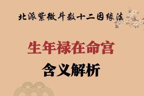 金箔金命的定义与特点解析