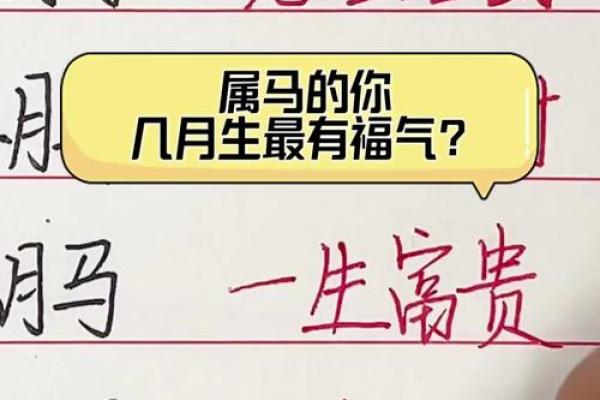 本命年马女如何提高幸福指数