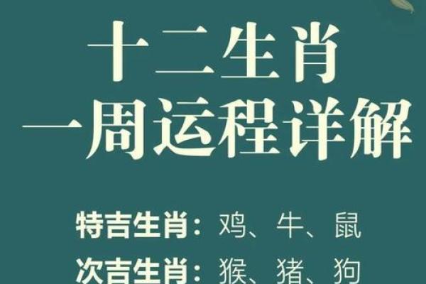 牛女在本命年如何提升事业运