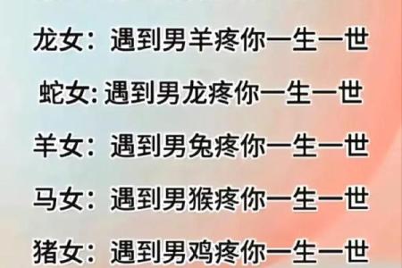 兔女与马男的性格差异与互补