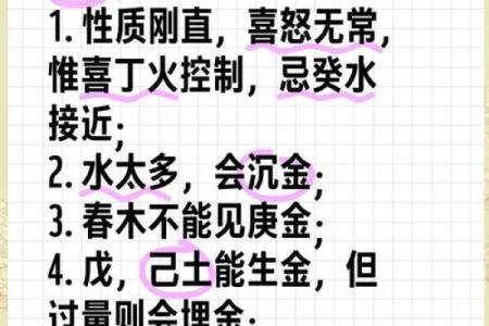 金箔金命的定义与特点解析