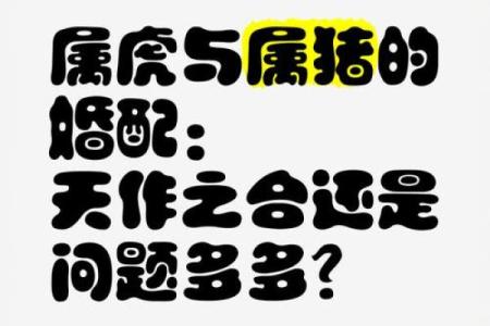 属虎男和属鸡女的婚配解析：是否天作之合