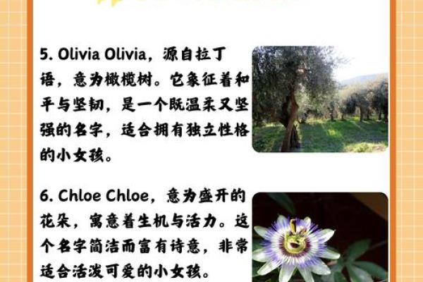 如何为女孩选择一个有意义的英语名字