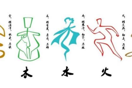 甲子年金命的深层含义与命理解析