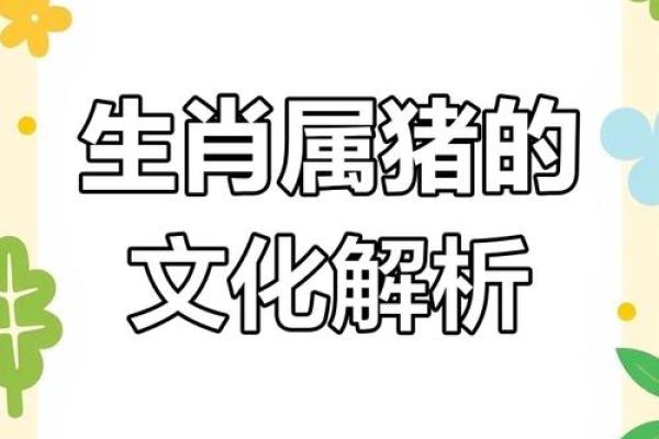 探索猪与其他生肖的最佳匹配，提升生活幸福感