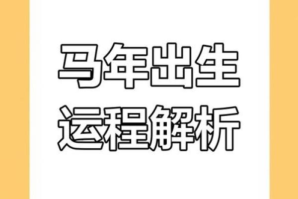本命年属马如何通过学习获得成功