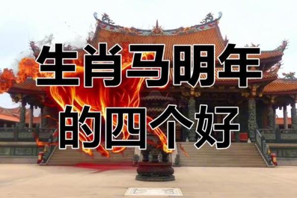 本命年属马如何通过学习获得成功