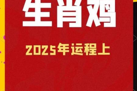 本命年属鸡的事业爆发期