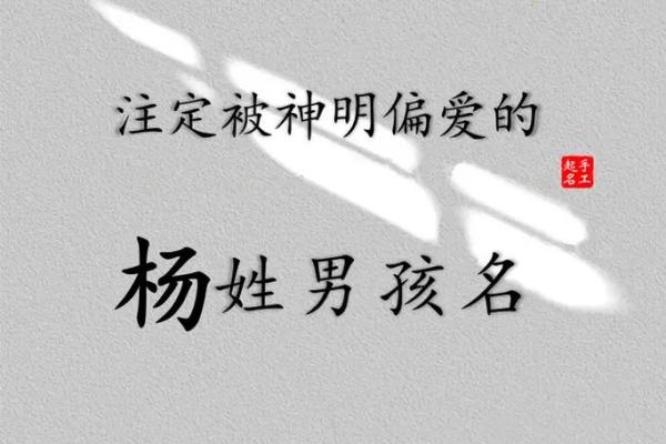 如何为杨姓宝宝起个独特有寓意的名字