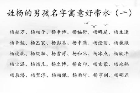 如何为杨姓宝宝起个独特有寓意的名字
