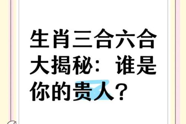 羊和马能否和谐相处的揭秘