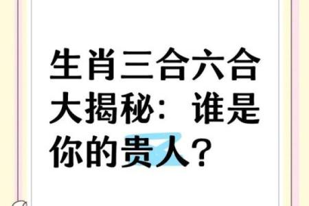 羊和马能否和谐相处的揭秘