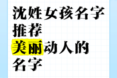 沈姓文化传承中的名字选择与意义