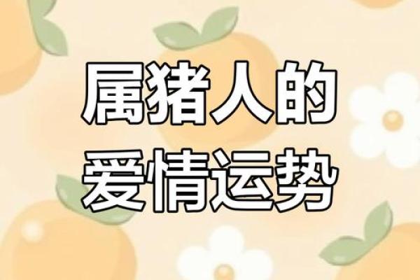 猪与哪个生肖最契合？揭秘最佳配对秘诀