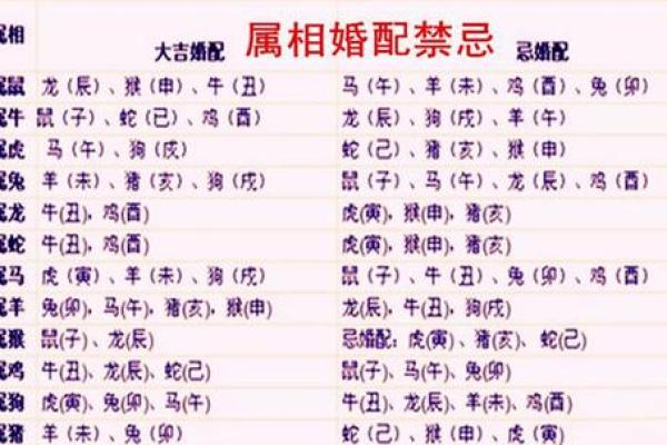 生肖属相配对的最佳组合与禁忌解析