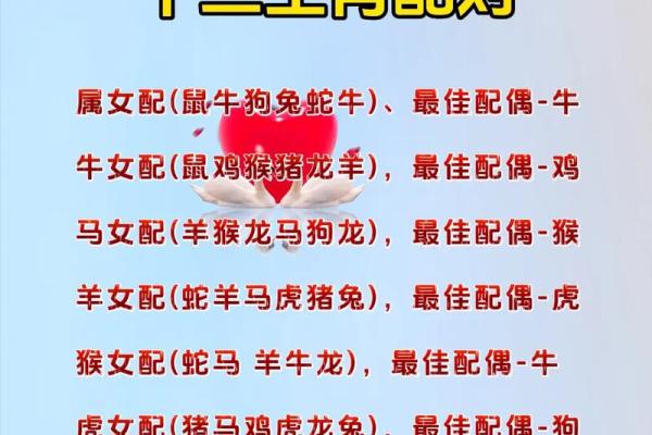 生肖属相配对的最佳组合与禁忌解析