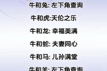 牛女本命年如何提升财运