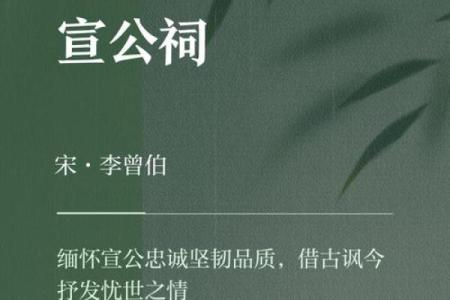 宣字中的独特气质与寓意