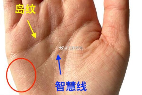 揭秘操心命的手相特征
