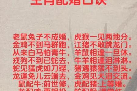鼠与马的关系如何影响婚姻运势