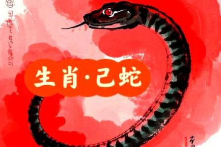本命年蛇男如何平衡感情与事业